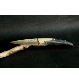 Couteau de poche l'Orque os de chameau teinté